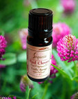 Red Clover Fragrance Oil