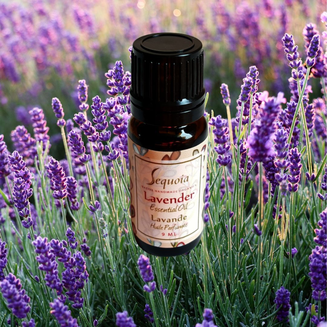 Lavender Essential Oil