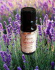 Lavender Essential Oil