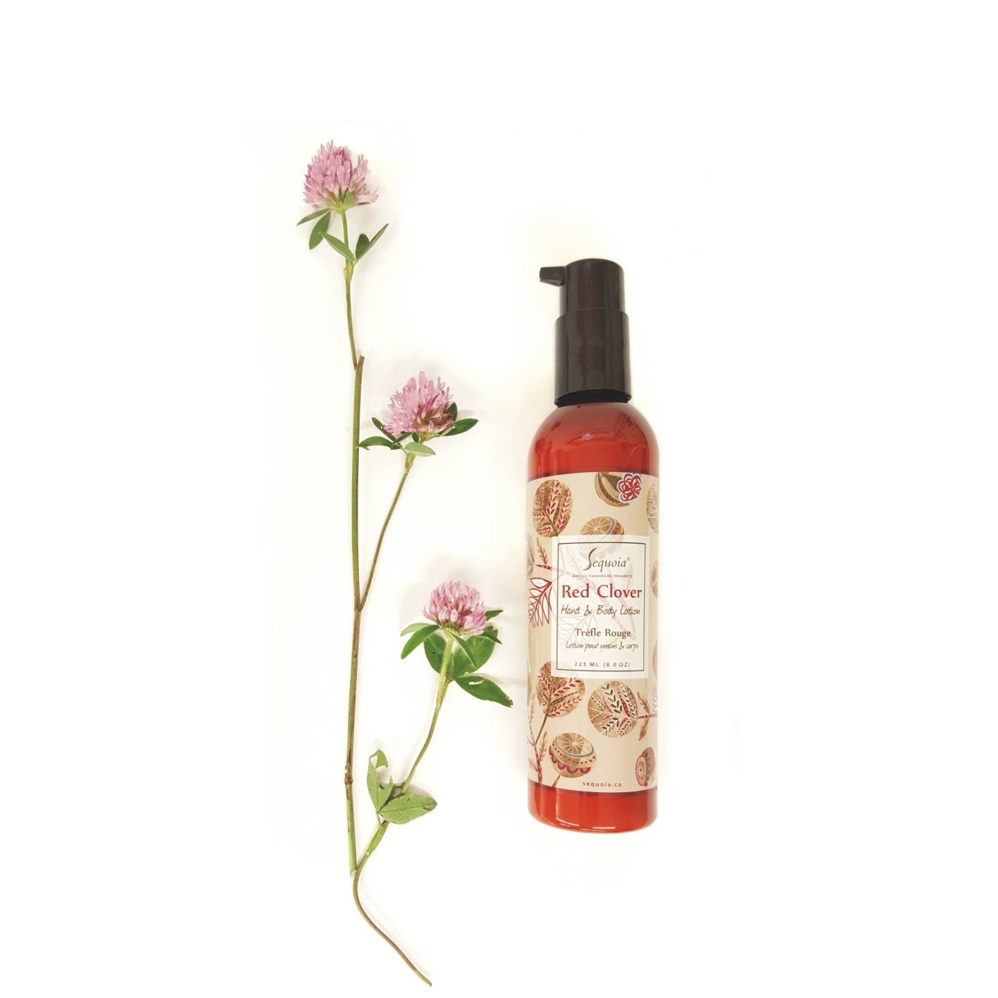 Red Clover Lotion