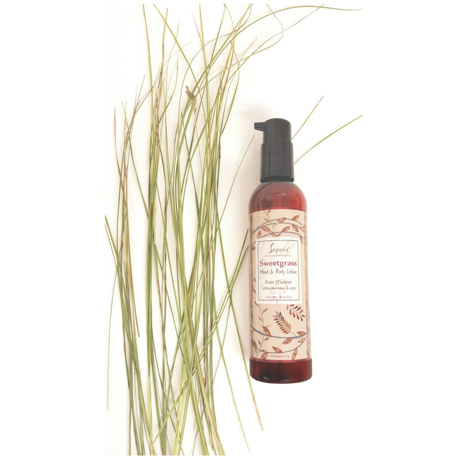 Sweetgrass Lotion